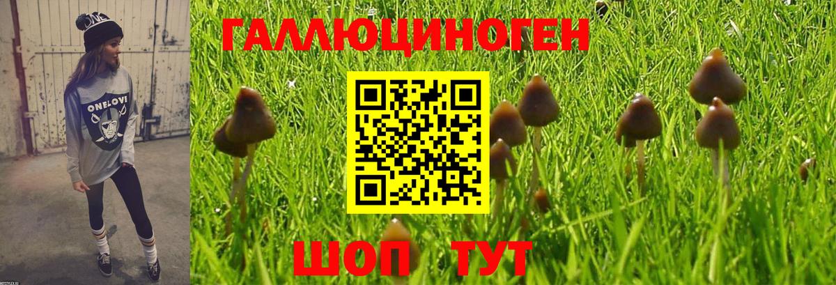 Галлюциногенные грибы мухоморы  Вход с VPN  купить наркоту  Бугульма 